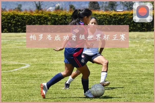 帕罗洛成功晋级世界杯正赛