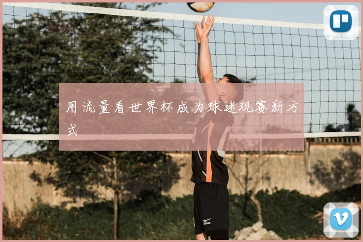 用流量看世界杯成为球迷观赛新方式